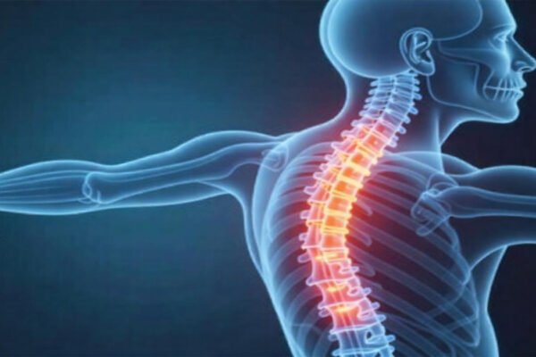 The Precision Touch: How Dynamic Spine Solutions LLC Powers Spinal Care from Fishers Dynamic Spine Solutions LLC
