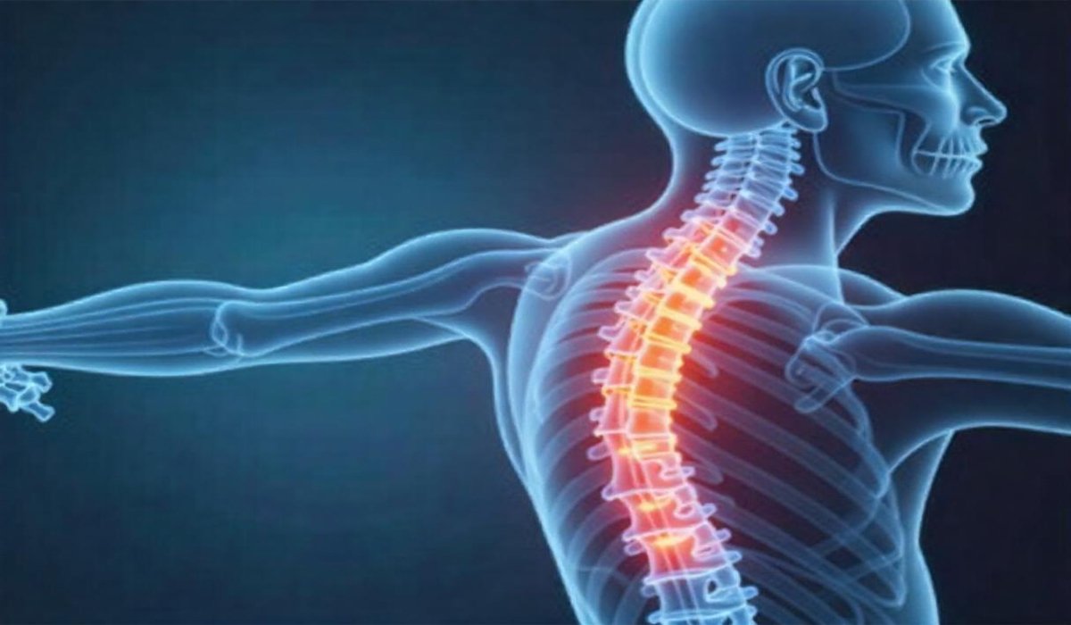 Dynamic Spine Solutions LLC